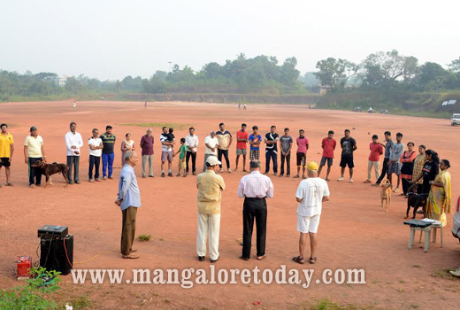 “Walk Your Way to Health 1